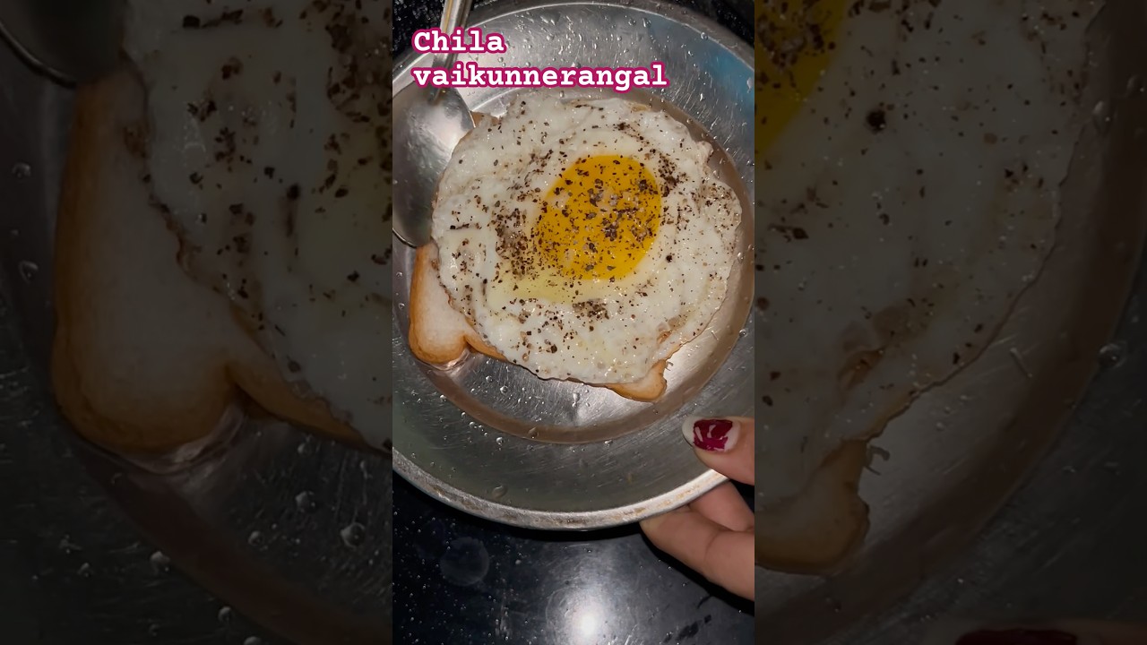 Evening Day | Daily vlogs 