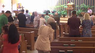 The 20th Sunday in Ordinary Time (8-17-2025) at St. Mary's