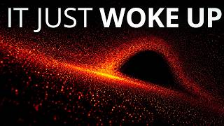 Phoenix A is NOT a Black Hole — It's Something Worse (And It Just Woke Up)