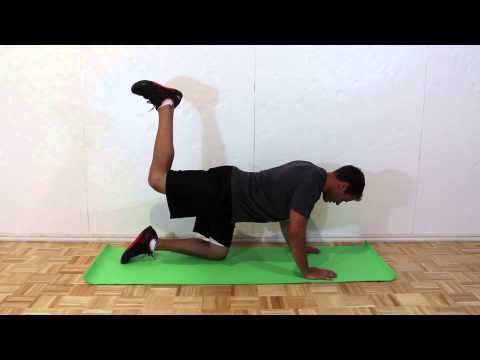 How to do a Donkey Kick Exercise