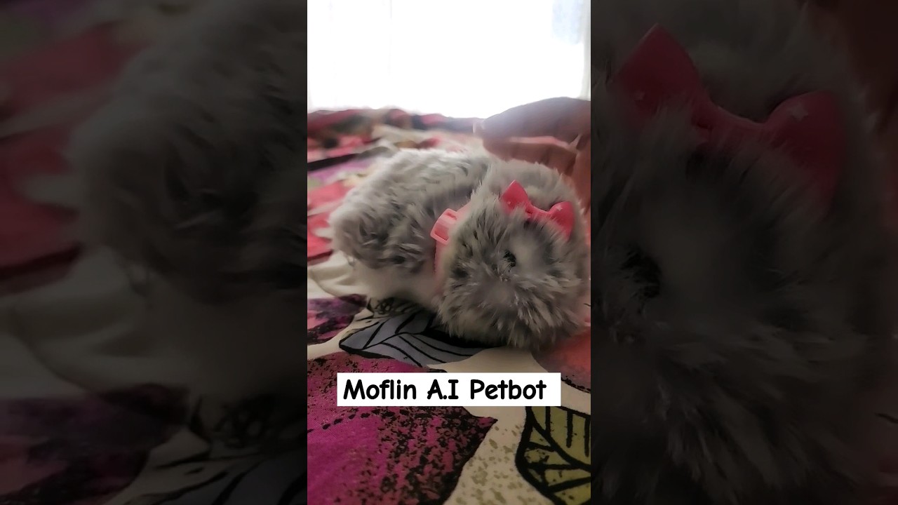 Moflin A.I Robot Pet. She's ALIVE!!! 