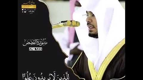 القارئ ياسر الدوسري - سورة القصص - الآية 83