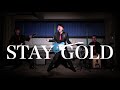 STAY GOLD MV  / KENNEL