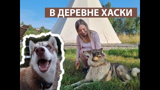 ДЕРЕВНЯ ХАСКИ РУЗСКАЯ АЛЯСКА, РУЗА, ДОСТОПРИМЕЧАТЕЛЬНОСТИ РУЗСКОГО РАЙОНА