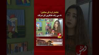 Amazing Display of Art work in Karachi! | Vsh News