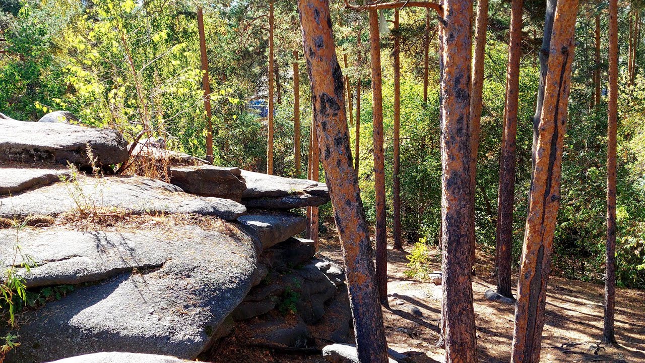 Идём в «горы» — парк в городской черте «Каменные палатки»#екатеринбург ...