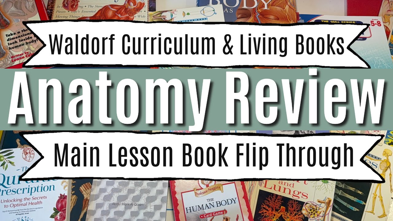 Anatomy Review | Waldorf Curriculum | Charlotte Mason Living Books