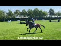 Lambada shake ag aganix du seigneur x spartacus 2016