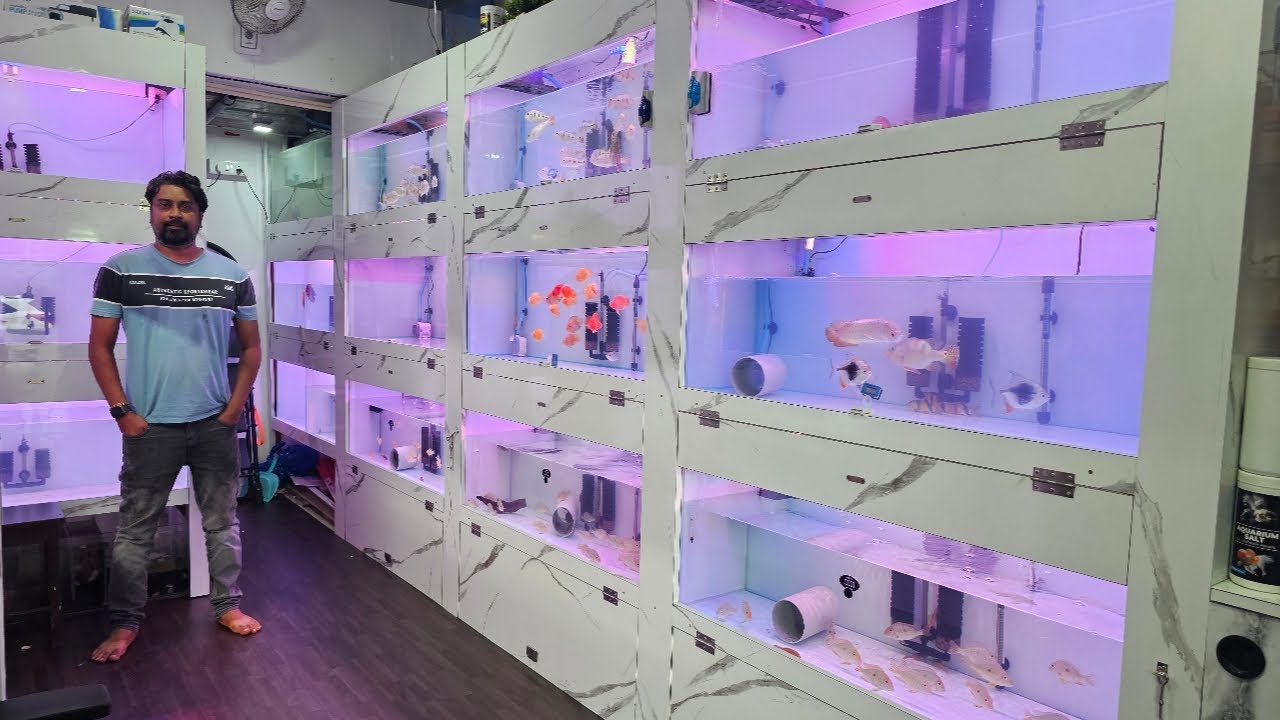 Zeus Aquatics Fish Shop