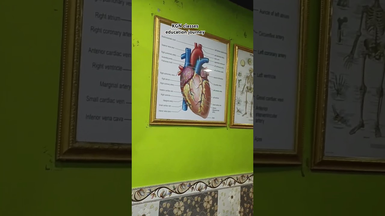 KGN Classes  IN Govandi 2024