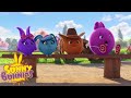 Il grande spettacolo di Hopper | SUNNY BUNNIES | Cartoni animati per bambini | WildBrain in Italiano