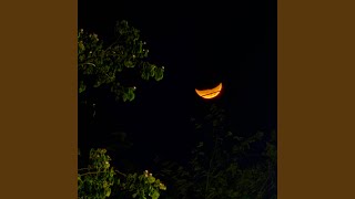 Orange Sky
