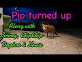 How the evening panned out wildlife fox cuteanimals viral vlog fyp nightlife mylife