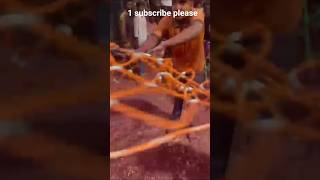 aligarh akhdaa #aligarh #akhada #trending #viral #explore #shorts #power