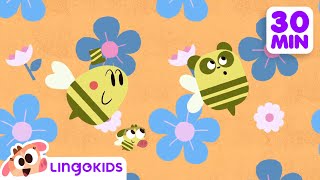 BEES DINOSAURS AND MORE FUN CARTOONS 🐝🦖 Science for Kids | Lingokids