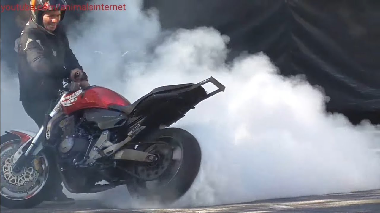 Humberto Ribeiro Freestyle Stunt Show: moments. Vila Real, Portugal. 2023-08-05