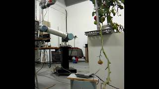 HMU   CSRL   SOUP   UR10e robotic arm movement pattern 1