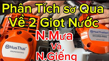 HusThailan và Hus Thai Phân tích sơ về.Nước Mưa và Nước giếng có khác nhau gì ko.Hay giống 100% 💯