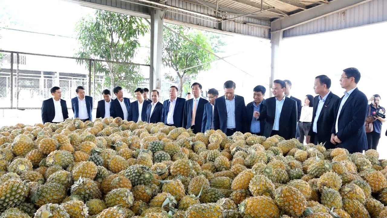 Đồng chí Bí thư Tỉnh ủy Đặng Xuân Phong thăm, kiểm tra, động viên sản xuất đầu Xuân Bính Ngọ 2026