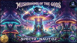 08. The Portal Opens Mushrooms Of The Gods