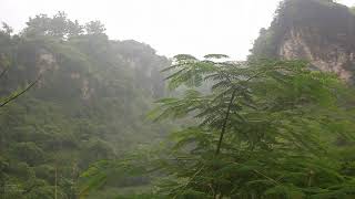 Расслабляющий дождь чтобы уснуть за 5 минут | Дождь и гроза на террасе в туманном лесу #asmr