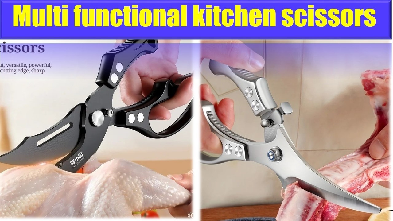 Top 5 Best Multi functional kitchen scissors Reviews 2026