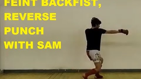 FEINT BACK FIST, REVERSE PUNCH WITH SAM
