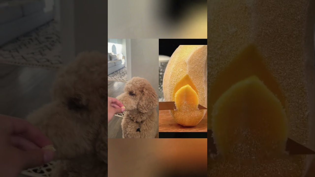  Fyppppppppppppppppppppppp Foryoupage Satisfying Crafting Diy Comedy Marrkadams