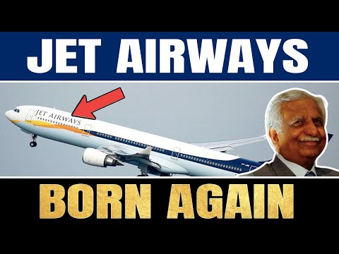 Видео: Индийская авиакомпания Jet Airways приносит извинения за смерть домашнего кота