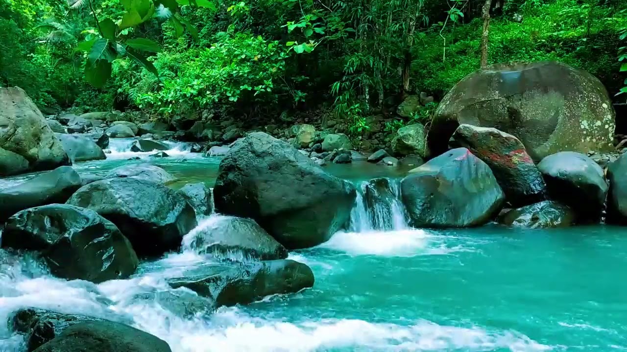 Relax in Nature - Gentle River for Calm, Focus & Sleep, Relaxing Nature Sounds