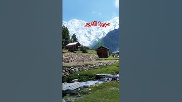 سورة الفجر #islamicvideo #quran #islam #foryou #اكسبلور#duet  #beautiful #foryou
