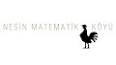 Matematik: Problem Çözme Sanatı ile ilgili video