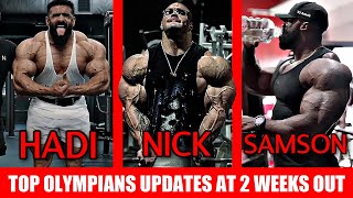 Which Olympian Looks Most Impressive at 2 Weeks Out? Nick Walker, Hadi Choopan, Samson Dauda, Derek?