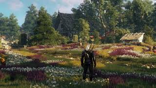 The Witcher 3 ~ One hour of Emotional and Relaxing Music with ambience flower garden