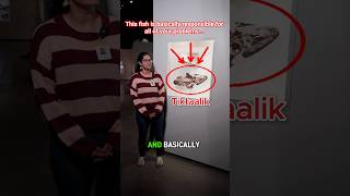 This Tiktaalik missing link fish could be why we pay taxes...
If the Tiktaalik fish would have just stayed in the water, maybe we wouldnt pay taxes.
#fish
#fossils
#fossil
#evolution
#science
#museum
#houston This Tiktaalik missing link fish could be why we pay taxes...