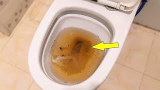 3 minutes to quickly unclog a clogged toilet, do you know how easy it is?  (100% success)