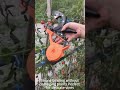Plant Tying Machine Demo – Fast Fastest Way to Tie Tomato & Grape Vines | OEM Available