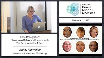 2.4 - Face Recognition: Clues from Behavioral Experiments - The Face Inversion Effect