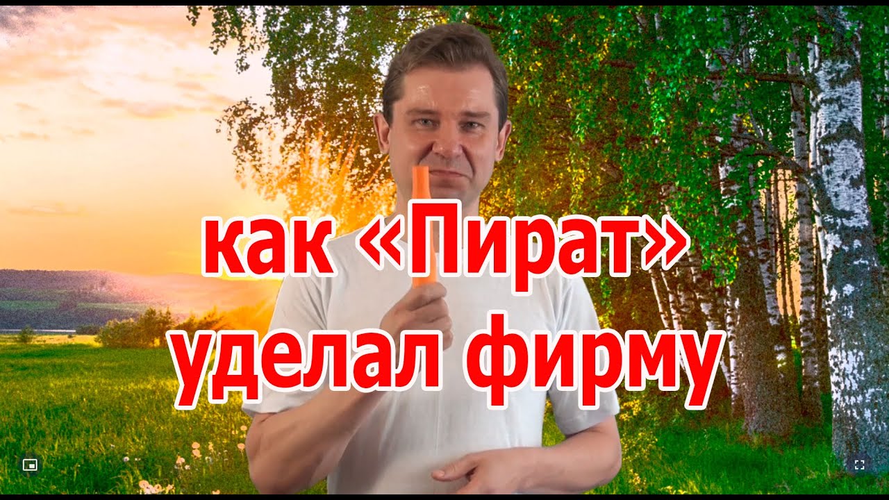 Как МД "Пират" уделал фирменные металлоискатели. Рассказ от Александра ...