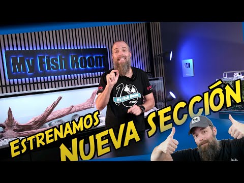 New Fish Tips Section - Episode 1: Vacation and the Aquarium