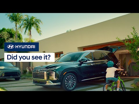 Did you see it? | 2024 Hyundai PALISADE