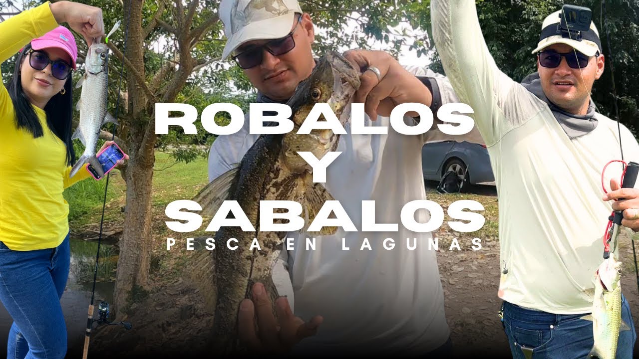 PESCA de SÁBALOS Y ROBALOS | PESCA en Lagunas de HONDURAS 