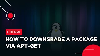 How to downgrade a Package via apt-get | VPS Tutorial Profile