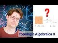 Topología Algebraica II