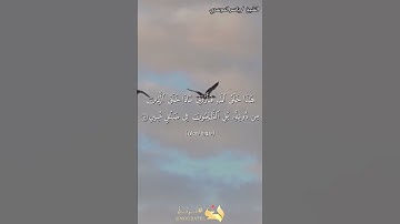 تأملات في خلق الله - الشيخ ياسر الدوسري يتلو آية من سورة لقمان