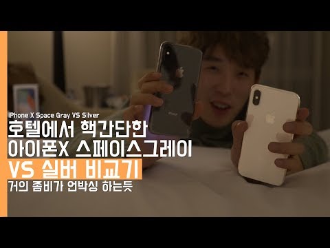 호텔에서 핵간단한 아이폰 X 스페이스 그레이 vs 실버 비교기! 잠을 못자서 미침(iPhone X Space Gray VS Silver)