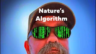 Natures Algorithm