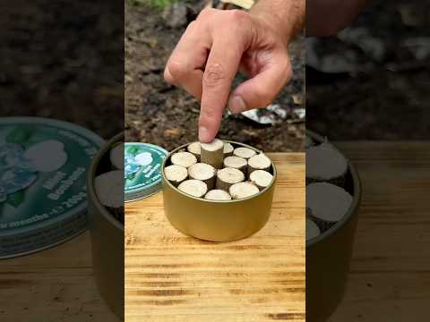 How to make charcoa❓And a kindling from charcoal 🔥