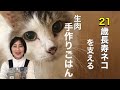 【60歳 Vlog 】ネコの手作りごはん長寿ネコの健康の秘訣、生肉食。病気がちな子がこんなに元気になりました！