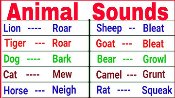 animal sounds | cries of animals